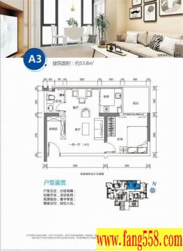 龙华军产房7栋31层大型成熟花园小区【龙城168公馆】800套优质房?